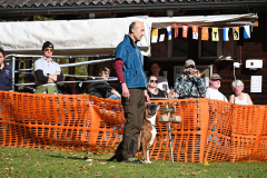 DARINO-–-DIAMANT-VON-ELVISONA-IGP1-pruefung-2021-10-31_03
