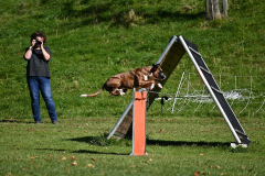 DARINO-–-DIAMANT-VON-ELVISONA-IGP1-pruefung-2021-10-31_07