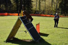 DARINO-–-DIAMANT-VON-ELVISONA-IGP1-pruefung-2021-10-31_16