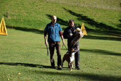 DARINO-–-DIAMANT-VON-ELVISONA-IGP1-pruefung-2021-10-31_24