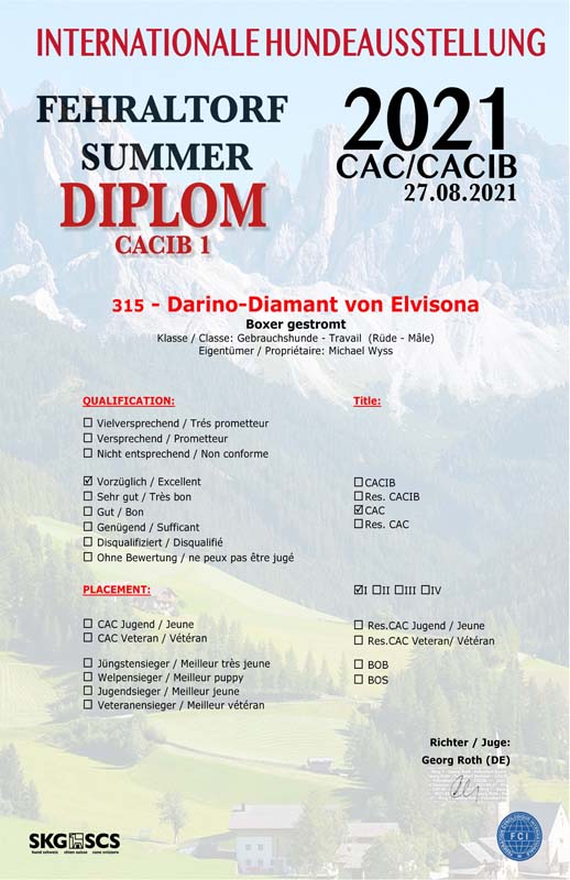 Certificate Darino V 1 CAC